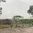  Land for sale in Reynosa, Tamaulipas, Reynosa
