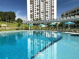 Studio Wohnung zu vermieten in Zapopan, Jalisco, Zapopan, Jalisco
