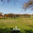  Land for sale in Colon, Cordoba, Colon