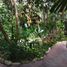 2 Bedroom Apartment for rent in Cozumel, Quintana Roo, Cozumel, Quintana Roo