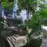 2 Bedroom Apartment for rent in Cozumel, Quintana Roo, Cozumel, Quintana Roo