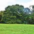  Land for sale in Envigado, Antioquia, Envigado