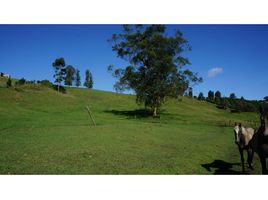  Land for sale in Rionegro, Antioquia, Rionegro