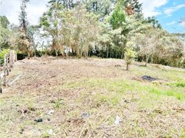  Land for sale in Rionegro, Antioquia, Rionegro