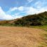  Land for sale in Valle Del Cauca, Dagua, Valle Del Cauca