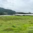  Land for sale in Rionegro, Antioquia, Rionegro