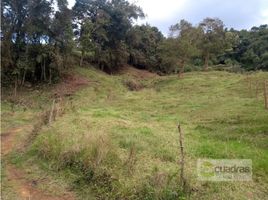  Terreno (Parcela) en venta en La Ceja, Antioquia, La Ceja