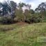  Land for sale in La Ceja, Antioquia, La Ceja