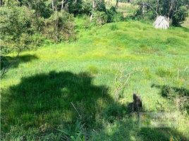  Land for sale in Marinilla, Antioquia, Marinilla