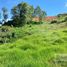  Land for sale in Marinilla, Antioquia, Marinilla