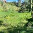  Land for sale in Marinilla, Antioquia, Marinilla