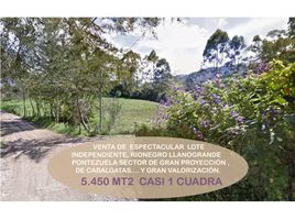 Terrain à vendre à Rionegro, Antioquia, Rionegro