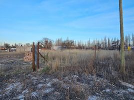  Terreno (Parcela) en venta en Rio Negro, General Roca, Rio Negro