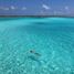  Grundstück zu verkaufen in Othon P Blanco, Quintana Roo, Othon P Blanco