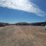  Land for rent in Ahome Sinaloa, Ahome