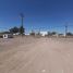  Land for rent in Ahome Sinaloa, Ahome