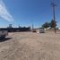  Land for rent in Ahome Sinaloa, Ahome