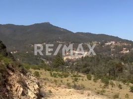  Grundstück zu verkaufen in Pachuca De Soto, Hidalgo, Pachuca De Soto