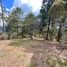  Land for sale in Medellin, Antioquia, Medellin