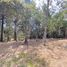  Land for sale in Medellin, Antioquia, Medellin