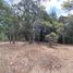  Land for sale in Medellin, Antioquia, Medellin