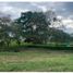  Land for sale in Manizales, Caldas, Manizales