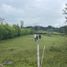  Land for sale in Caldas, Neira, Caldas