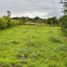  Land for sale in Caldas, Neira, Caldas