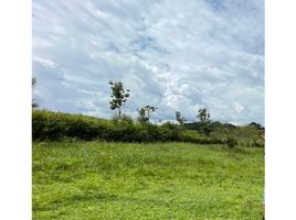  Land for sale in Caldas, Neira, Caldas