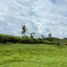  Land for sale in Neira, Caldas, Neira