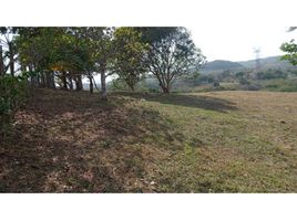  Terrain for sale in La Chorrera, Panama Oeste, El Coco, La Chorrera