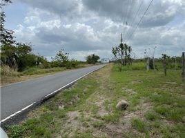  Terreno (Parcela) en venta en Panamá Oeste, San Carlos, San Carlos, Panamá Oeste