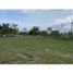  Land for sale in San Carlos, Panama Oeste, San Carlos, San Carlos