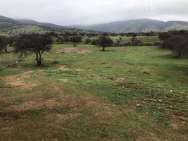  Terrain for sale in Melipilla, Santiago, Melipilla, Melipilla