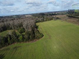  Terreno (Parcela) en venta en Frutillar, Llanquihue, Frutillar