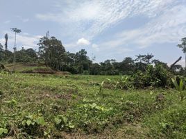  Terreno (Parcela) en venta en Pedro Vicente Maldonado, Pichincha, Pedro Vicente Maldonado, Pedro Vicente Maldonado