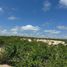  Terreno (Parcela) en venta en Baja California Sur, La Paz, Baja California Sur