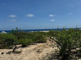  Terreno (Parcela) en venta en Baja California Sur, La Paz, Baja California Sur