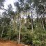  Land for sale in Pitrufquen, Araucania, Pitrufquen