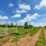  Land for sale in Amealco De Bonfin, Queretaro, Amealco De Bonfin