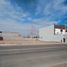  Terreno (Parcela) en alquiler en Cuauhtemoc, Chihuahua, Cuauhtemoc