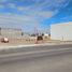  Terreno (Parcela) en alquiler en Cuauhtemoc, Chihuahua, Cuauhtemoc