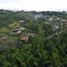  Land for sale in Caldas, Neira, Caldas