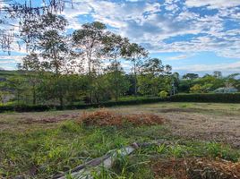  Land for sale in Caldas, Neira, Caldas