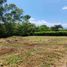  Land for sale in Caldas, Neira, Caldas