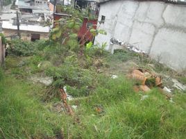  Terreno (Parcela) en venta en Manizales, Caldas, Manizales