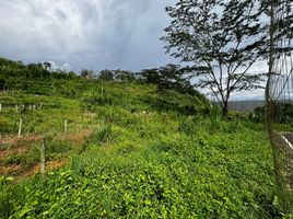  Terreno (Parcela) en venta en Bocas del Toro, Guabito, Changuinola, Bocas del Toro