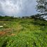  Terreno (Parcela) en venta en Bocas del Toro, Guabito, Changuinola, Bocas del Toro