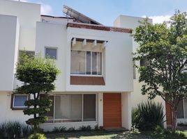 3 Habitación Casa en alquiler en Zapopan, Jalisco, Zapopan