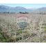  Land for sale in Santiago, Paine, Maipo, Santiago